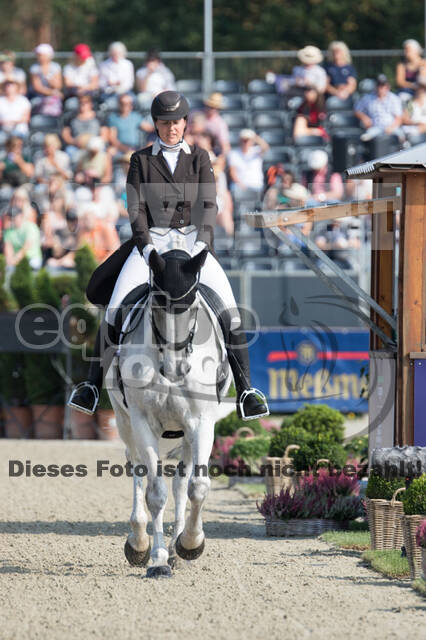 FEI European Championship Eventing 2019