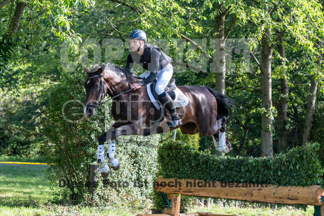 Bonn-Rodderberg Late-Entry-Vielseitigkeit (30.06.2020)