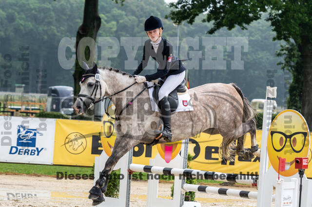 Goldene Schärpe 2021 - Ponys