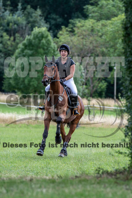 Bonn-Rodderberg Late-Entry-Vielseitigkeit (30.06.2020)