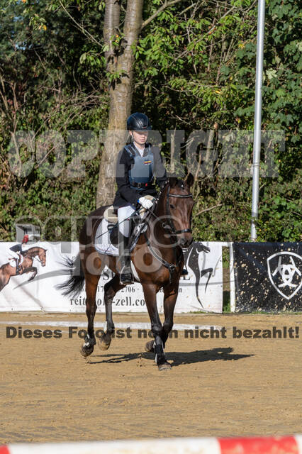 RFV Dinslaken-Hiesfeld (Herbstturnier)