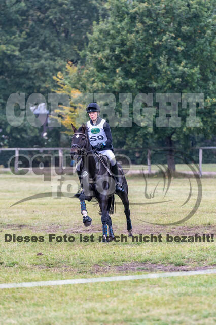 Deutsche Meisterschaft Vielseitigkeit (Luhmühlen)
