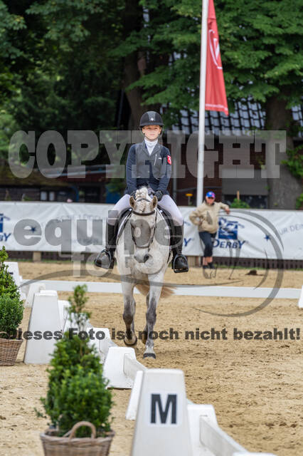 Goldene Schärpe 2021 - Ponys