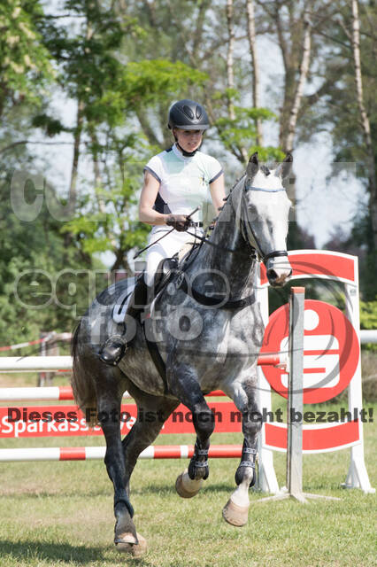 Vielseitigkeitsturnier ZRuFV von Lützow Hamminkeln