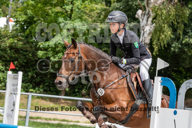 Late-Entry-Vielseitigkeit Langenfeld (06.+07.07.2020)
