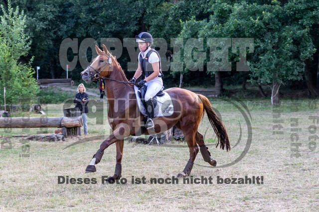 Late-Entry Vielseitigkeit Hamminkeln/Wesel (01.+02.08.2020)