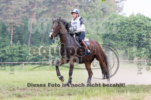 Vielseitigkeitsturnier ZRFV von Lützow Hamminkeln