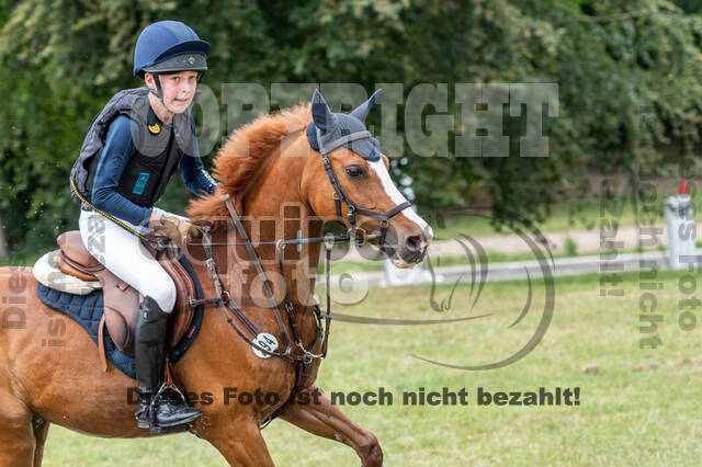 Late-Entry-Vielseitigkeit Langenfeld (11.+13./14.06.2020)