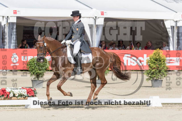 FEI European Championship Eventing 2017