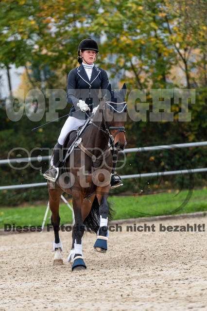 Reiter Schleswig-Holstein