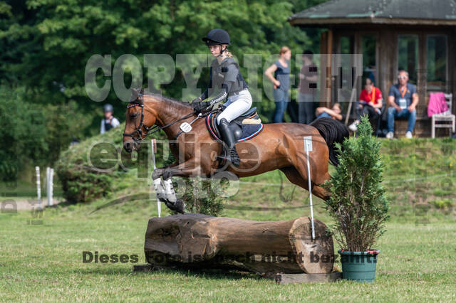 Goldene Schärpe 2021 - Ponys