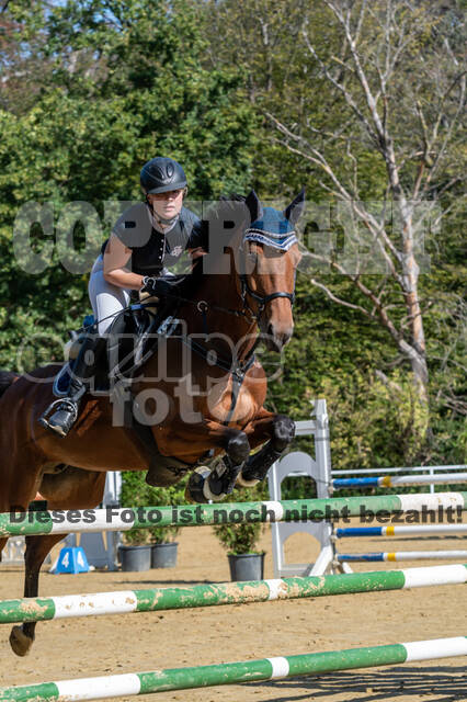 RFV Dinslaken-Hiesfeld (Herbstturnier)