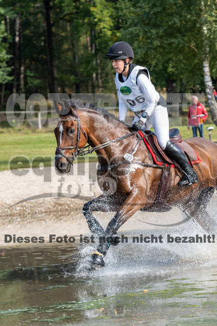 Deutsche Meisterschaft Vielseitigkeit (Luhmühlen)