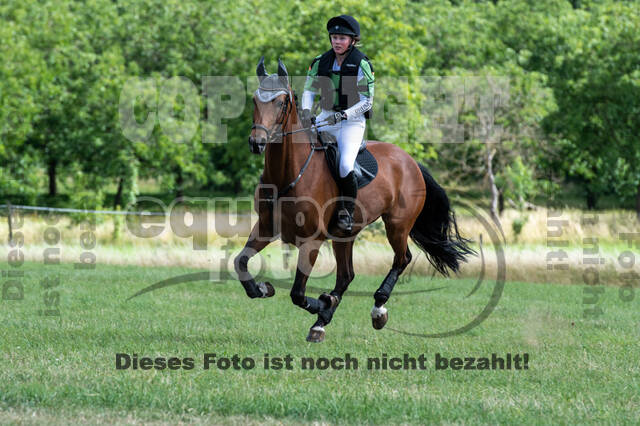 Bonn-Rodderberg Late-Entry-Vielseitigkeit (30.06.2020)