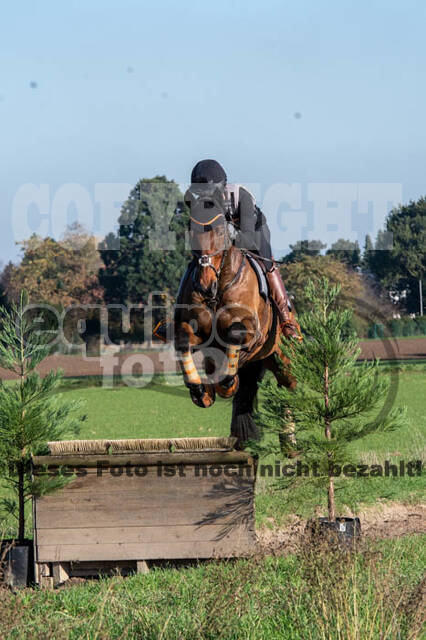 Vielseitigkeitslehrgang mit Jürg Kurbel (9.+10.11.2019)