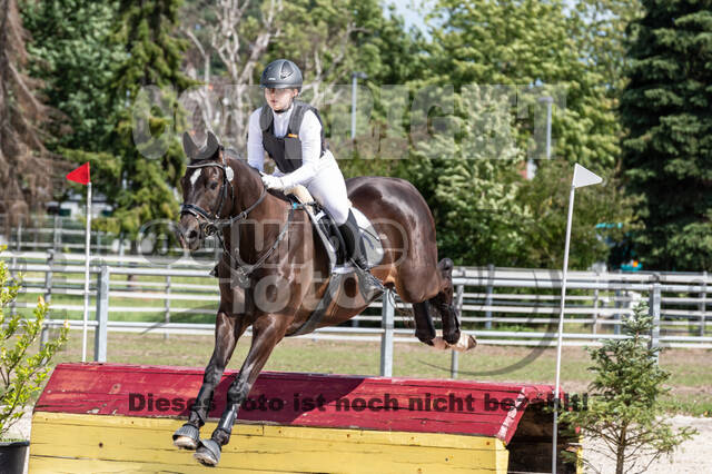 Late-Entry-Vielseitigkeit Langenfeld (06.+07.07.2020)