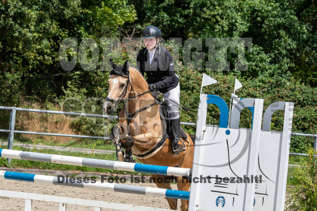 Late-Entry-Vielseitigkeit Langenfeld (06.+07.07.2020)