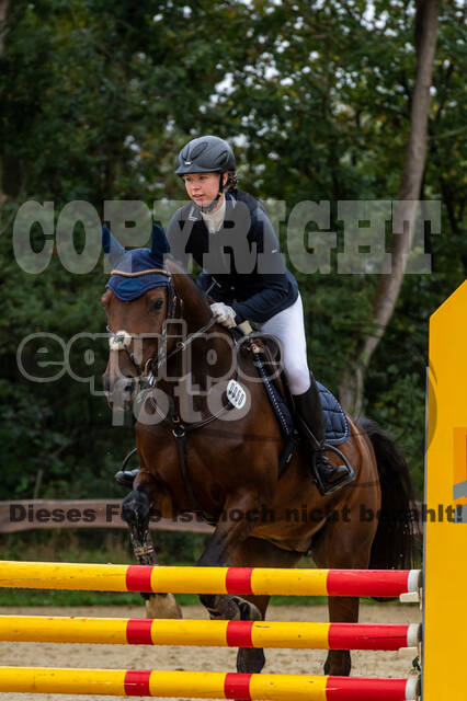 Vielseitigkeit RSV Wesel Obrighoven (26.+27.09.2020)