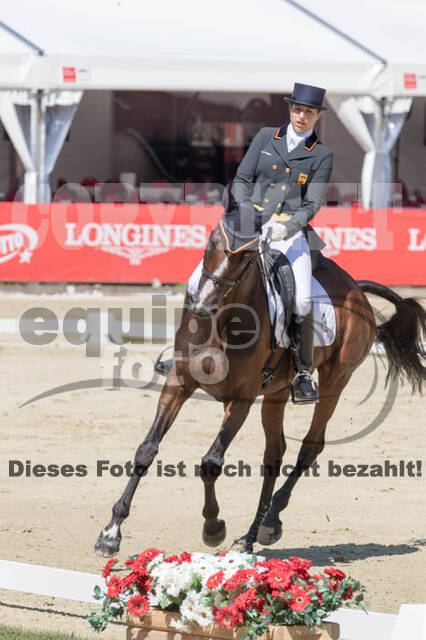 FEI European Championship Eventing 2017