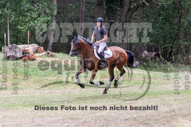 Late-Entry Vielseitigkeit Hamminkeln/Wesel (01.+02.08.2020)