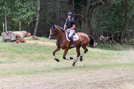 Late-Entry Vielseitigkeit Hamminkeln/Wesel (01.+02.08.2020)