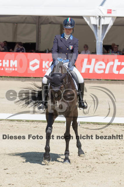 FEI European Championship