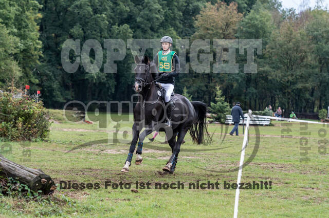 Vielseitigkeit RSV Wesel Obrighoven (26.+27.09.2020)