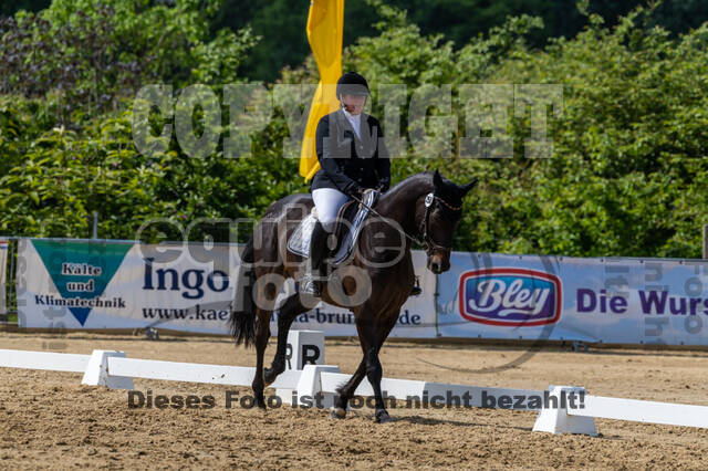 Westerstede Horse Trials 2021