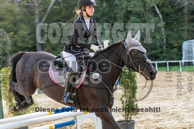 RFV Dinslaken-Hiesfeld (Herbstturnier)