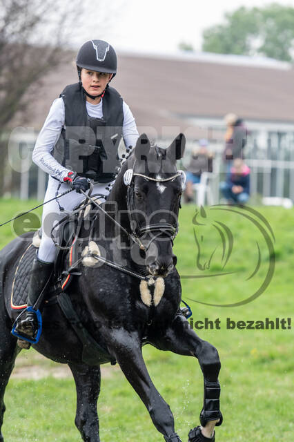 Goldene Schärpe 2020 - Pferde