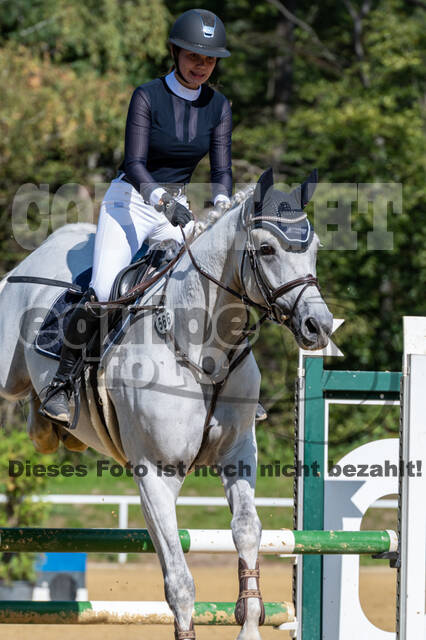RFV Dinslaken-Hiesfeld (Herbstturnier)