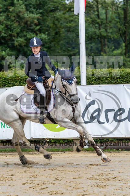 Goldene Schärpe 2021 - Ponys