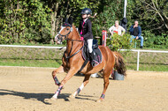 RFV Dinslaken-Hiesfeld (Herbstturnier)