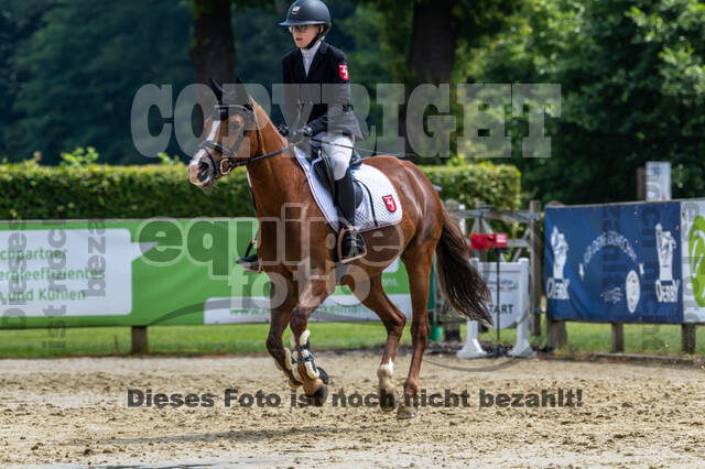Goldene Schärpe 2021 - Ponys