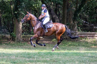 Late-Entry Vielseitigkeit Hamminkeln/Wesel (01.+02.08.2020)