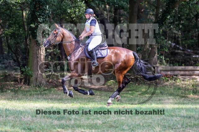 Late-Entry Vielseitigkeit Hamminkeln/Wesel (01.+02.08.2020)