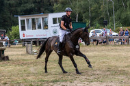 Late-Entry Vielseitigkeit Hamminkeln/Wesel (01.+02.08.2020)