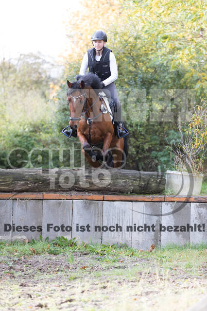 IGV Lehrgang der Sieger der Cups mit Frank Ostholt