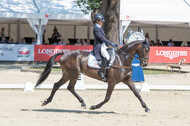 FEI European Championship