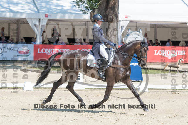 FEI European Championship