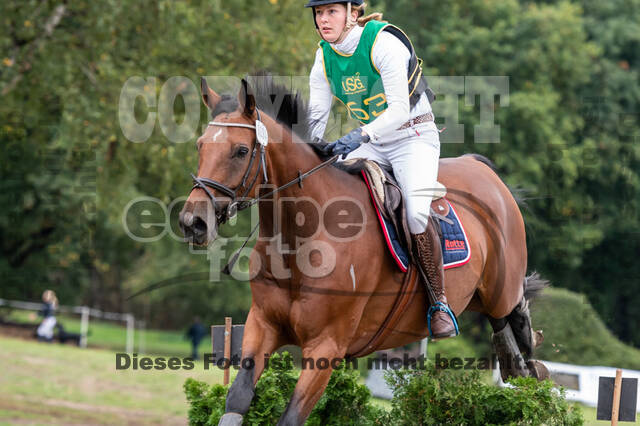 Vielseitigkeit RSV Wesel Obrighoven (26.+27.09.2020)