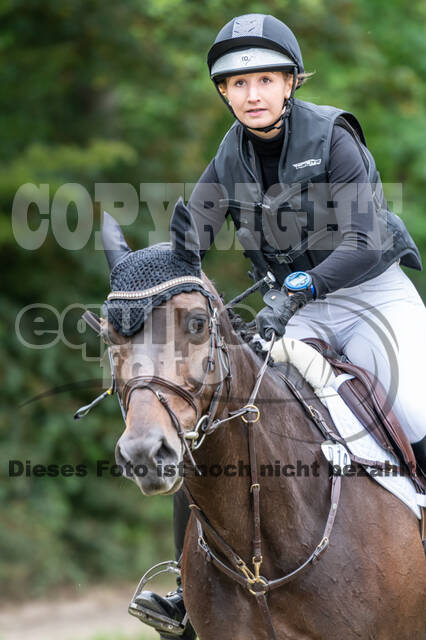 Late-Entry-Vielseitigkeit Langenfeld (11.+13./14.06.2020)