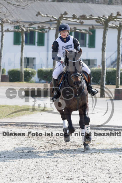 Eventing Langenfeld 2018
