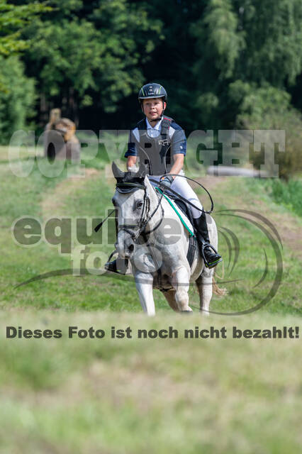 Goldene Schärpe 2021 - Ponys