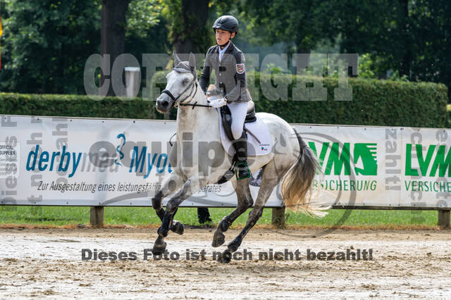 Goldene Schärpe 2021 - Ponys