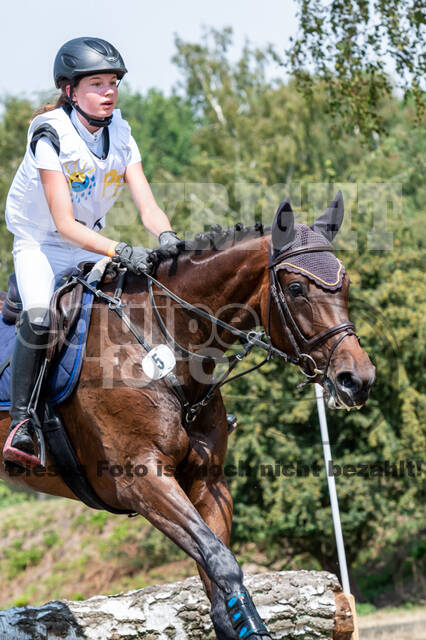 Late-Entry Vielseitigkeit Hamminkeln/Wesel (01.+02.08.2020)