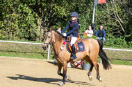 RFV Dinslaken-Hiesfeld (Herbstturnier)