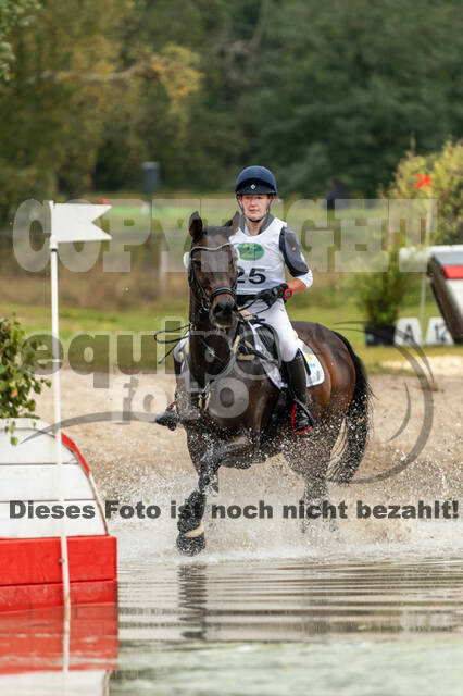 Deutsche Meisterschaft Vielseitigkeit (Luhmühlen)