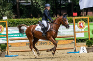 Goldene Schärpe 2021 - Ponys