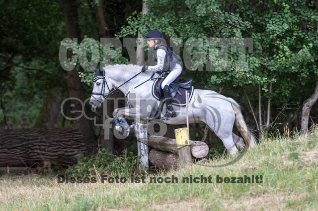 Late-Entry Vielseitigkeit Hamminkeln/Wesel (01.+02.08.2020)